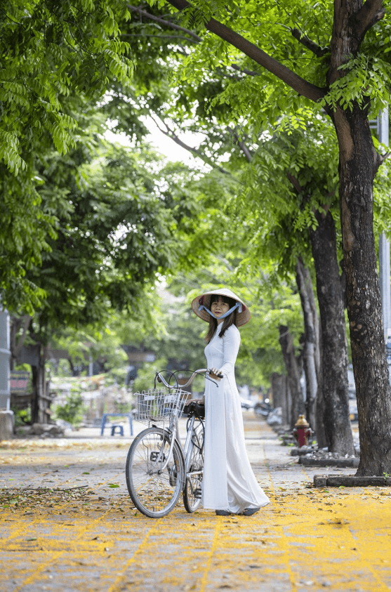 Cây Sưa Hoa Vàng – Nét Thanh Lịch Cho Những Con Đường Phố Việt