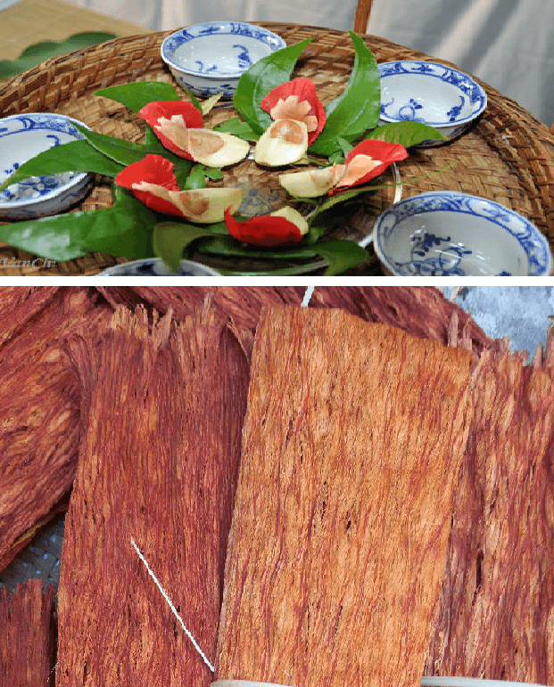 Cây Chay Ruột Đỏ - Chay Ăn Trầu: Linh Mộc Trong Vườn Việt Xưa