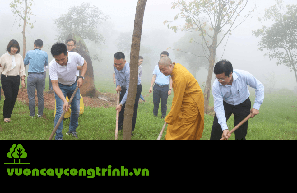 Có Nên Cung Tiến Cây Sa La Dâng Chùa Không?